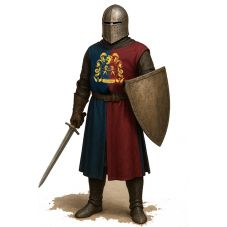 Tabard avec blason hieraldique